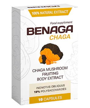 Benaga Chaga